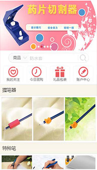 商城網(wǎng)站案例