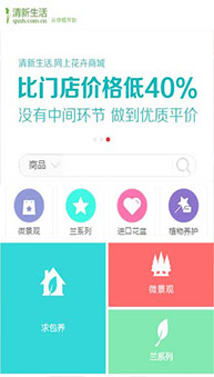 商城網(wǎng)站案例